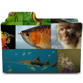 Thumbnail for version as of 19:56, 30 July 2012