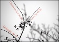Thumbnail for version as of 15:34, 23 September 2010