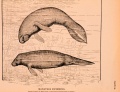 Thumbnail for version as of 19:57, 13 March 2010
