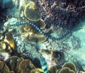 Thumbnail for version as of 16:37, 17 November 2013