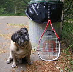 File:Raquette Tennis -4196.jpg