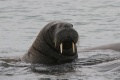 Thumbnail for version as of 13:17, 30 April 2012