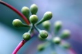 Thumbnail for version as of 09:36, 5 May 2012