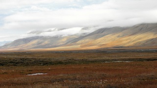 File:Toundra-1628.jpg