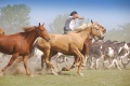 Thumbnail for version as of 21:26, 15 March 2011