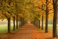 Thumbnail for version as of 11:28, 4 December 2008