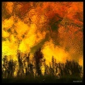 Thumbnail for version as of 19:37, 6 January 2012