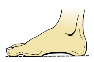 File:Pied humain.png