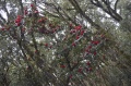 Thumbnail for version as of 16:01, 23 November 2014