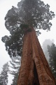 Thumbnail for version as of 16:40, 24 December 2011