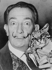 File:Salvador Dali.jpg