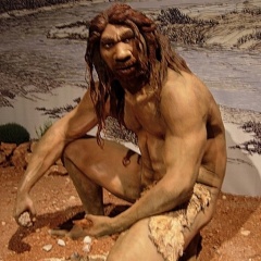 File:CAT-Prehistory.jpg