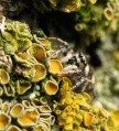 Thumbnail for version as of 19:18, 17 July 2013