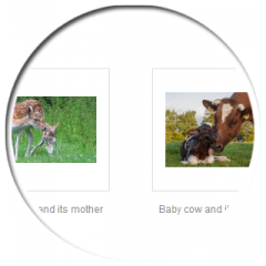 File:Wikiministock (Wikistock)-galleries.png