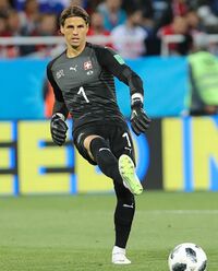 Yann Sommer (en 2018).jpg