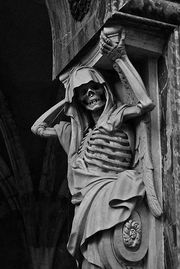 SQUELETTE DE LA MORT-8114.jpg