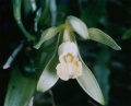 Thumbnail for version as of 19:14, 18 June 2011