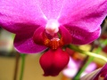 Thumbnail for version as of 10:23, 12 January 2009