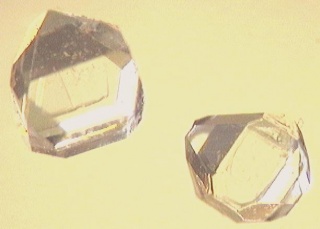 File:Cristaux de xylitol.jpg