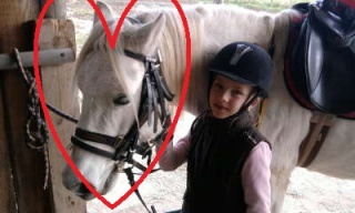 File:Poney-cavalière-équitation.jpg