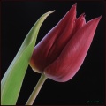Thumbnail for version as of 16:26, 28 April 2013