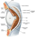 Thumbnail for version as of 10:37, 24 April 2014