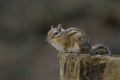 Thumbnail for version as of 17:03, 5 November 2012