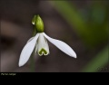 Thumbnail for version as of 14:32, 25 March 2012