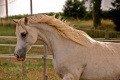 Thumbnail for version as of 08:24, 18 March 2012