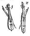 Thumbnail for version as of 18:28, 28 March 2016
