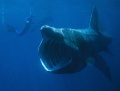 Thumbnail for version as of 06:53, 4 June 2012