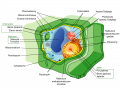 Thumbnail for version as of 08:59, 7 May 2013