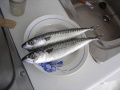 Thumbnail for version as of 09:12, 11 June 2012