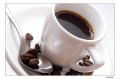 Thumbnail for version as of 07:09, 13 August 2012